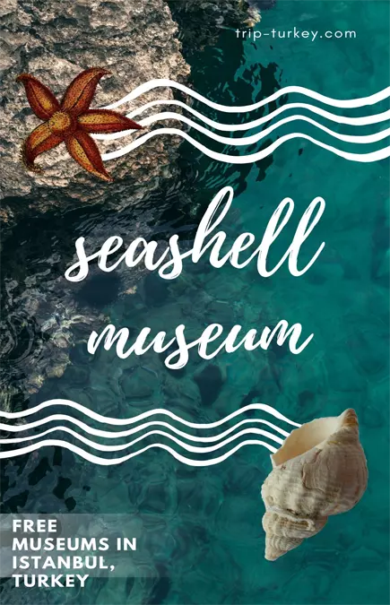 Seashell Museum in İstanbul